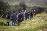 Palestinian Heritage Trail Walks